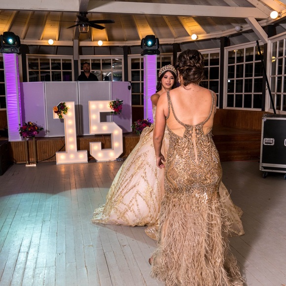 Terani Couture Gown size 8 - Picture 10 of 10